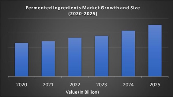 Fermented Ingredients Market